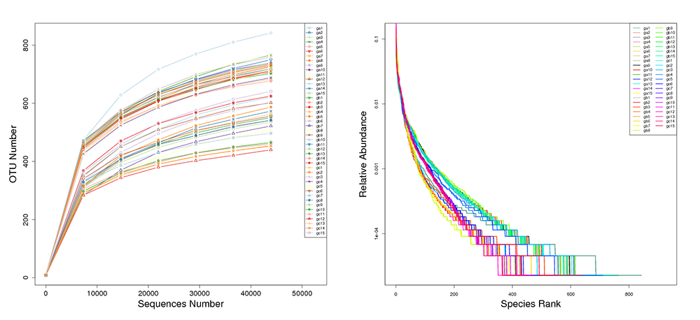 Novogene Amplicon Rarefaction & Rank Abundance Curves by Individual Sample
