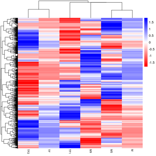 Hierarchical Clustering Heatmap of Differential Expression for Novogene RNA-seq
