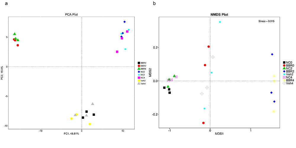 Novogene Metagenomic PCA & NMDS Analysis Results based on relative abundance of gene functions