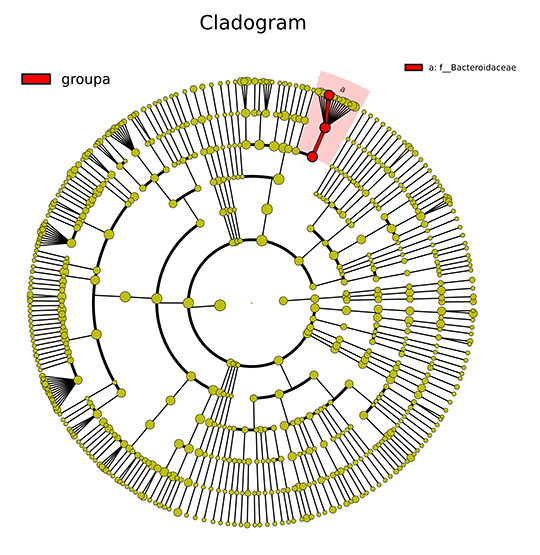 Novogene Amplicon Cladogram of LEfSe Analysis