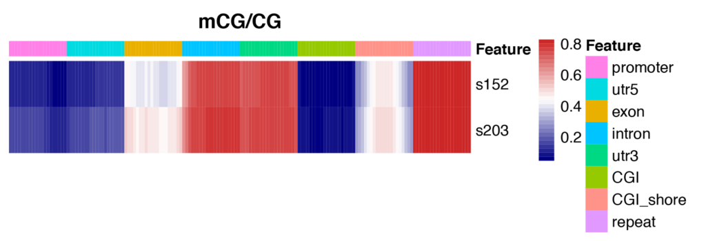 Novogene WGBS Heatmap Analysis for Methylation Levels of Gene Functional Region 