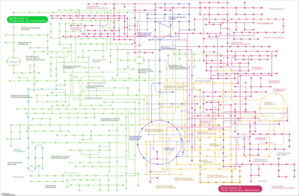 Novogene Metagenomic Comparison Plot for Metabolic Pathway of multi-samples