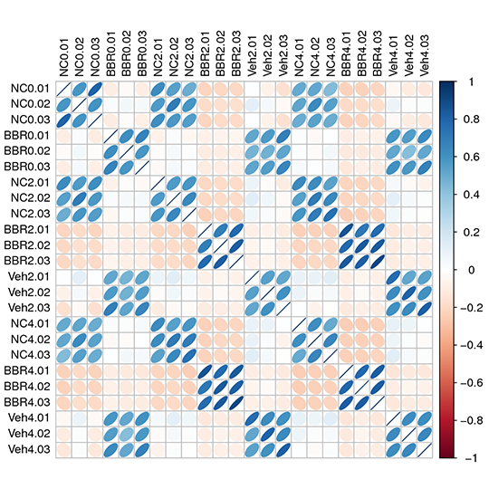 Novogene Metagenomic Heatmap for the Relation Among Samples