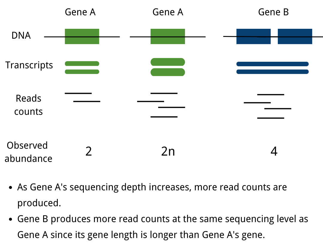 How to choose Normalization methods (TPM/RPKM/FPKM) for mRNA expression