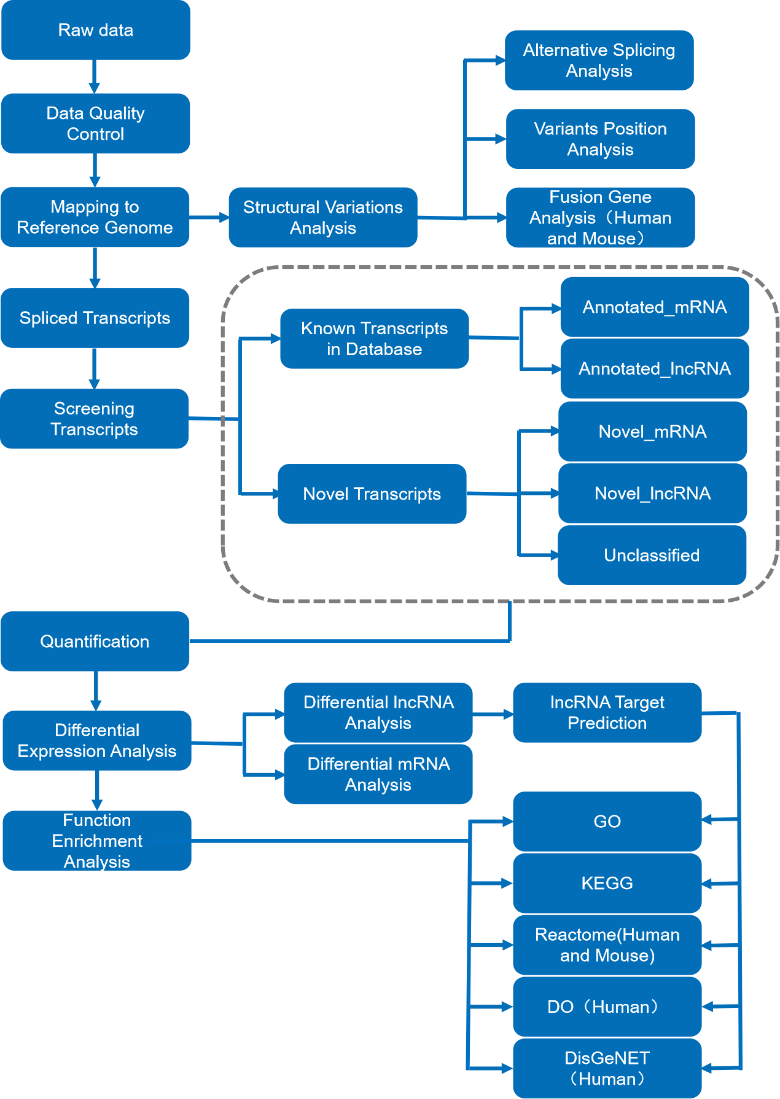 A diagram of a dnaDescription automatically generated