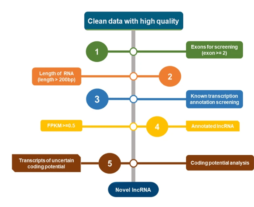 A diagram of data analysisDescription automatically generated