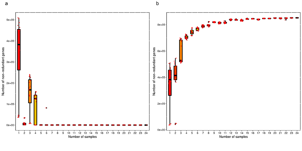 Novogene Metagenomic Sequencing Core-pan Gene Rarefaction Curve