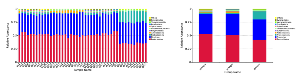 Novogene Amplicon Relative Abundance on Phylum