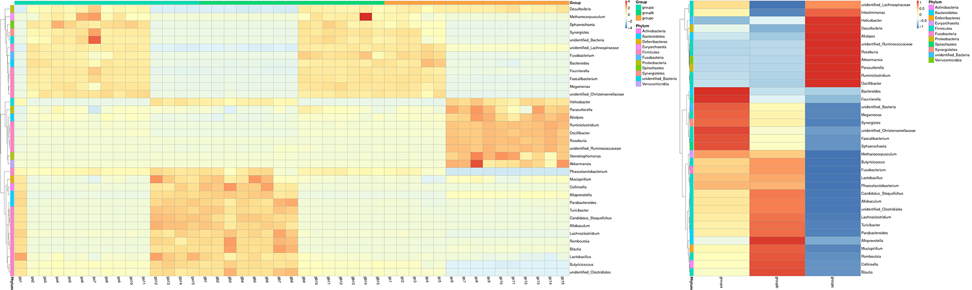 Novogene Amplicon Species Abundance Heatmap