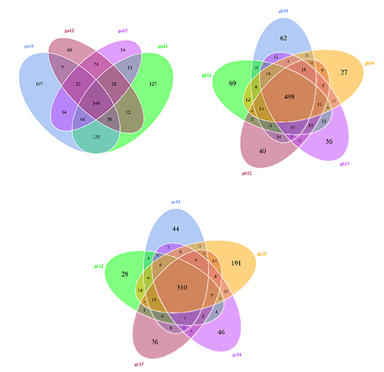 Novogene Amplicon Venn Diagram