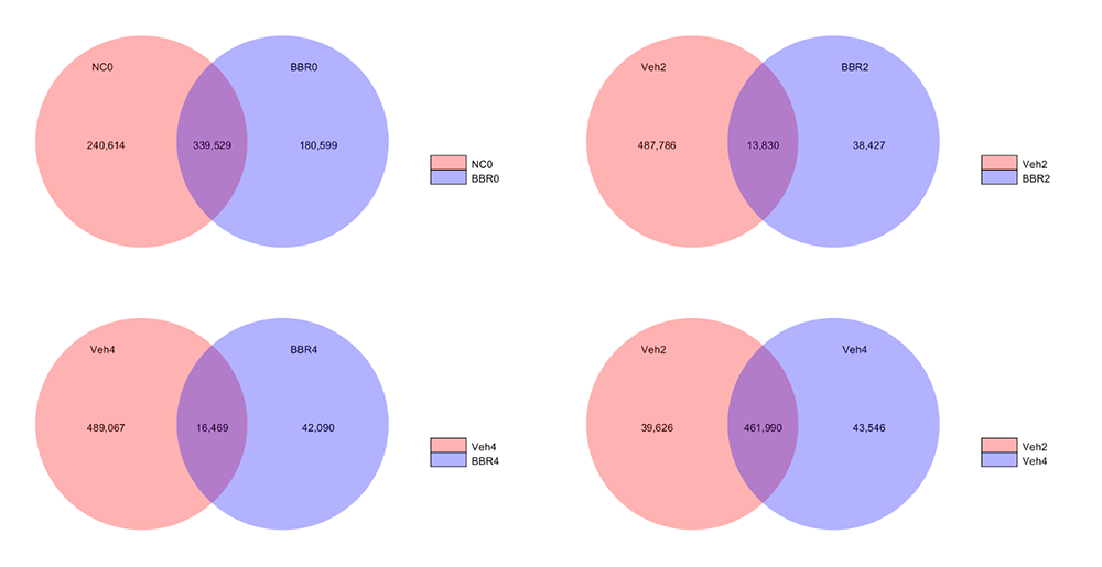 Novogene Metagenomic Venn Figures for Gene Number among samples