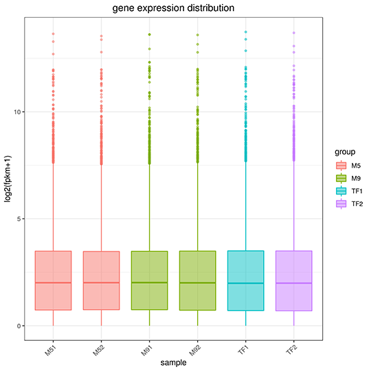 Gene Expression Quantification for Novogene RNA-seq