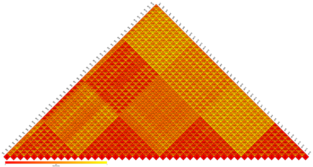 Novogene Amplicon β-diversity Heatmap