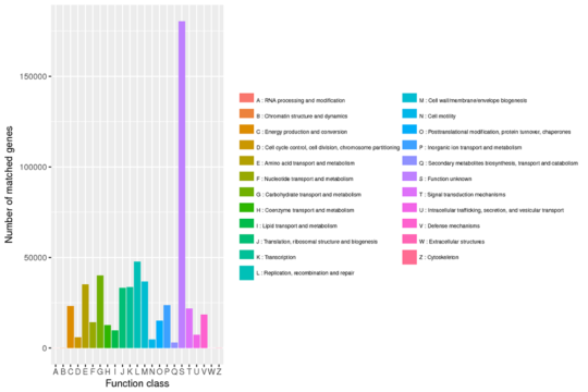 Novogene Metagenomic eggNOG Annotation