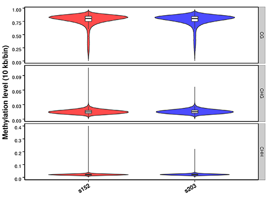 Novogene WGBS Methylation Level Distribution on Whole Genome