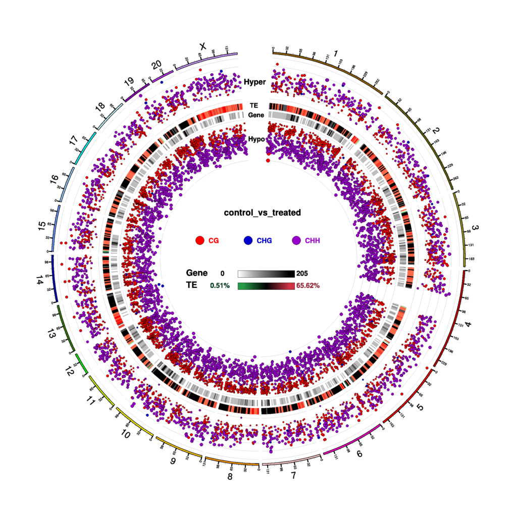 Novogene WGBS Circos Plot for DMR Condition in three contexts (CG, CHG, CHH)