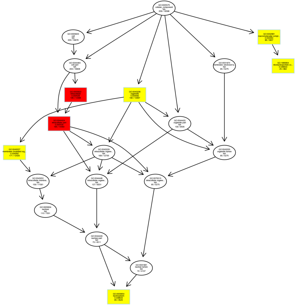 Novogene ChIP-seq Diagram of GO Enrichment