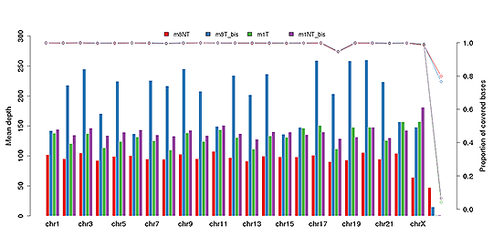 Novogene hWES Sequencing Depth & Coverage Distribution