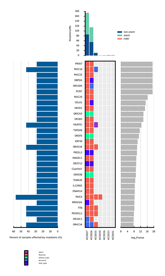 Novogene hWES Heatmap of Significantly Mutated Genes