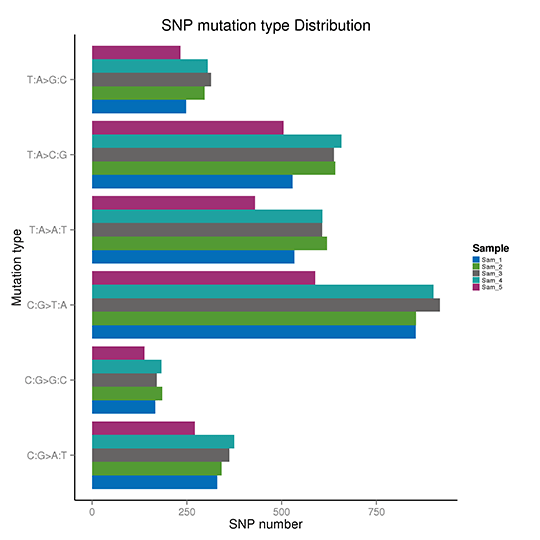 Novogene hWGS Sequencing Depth & Coverage Distribution