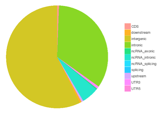 Novogene hWGS SNP Detection