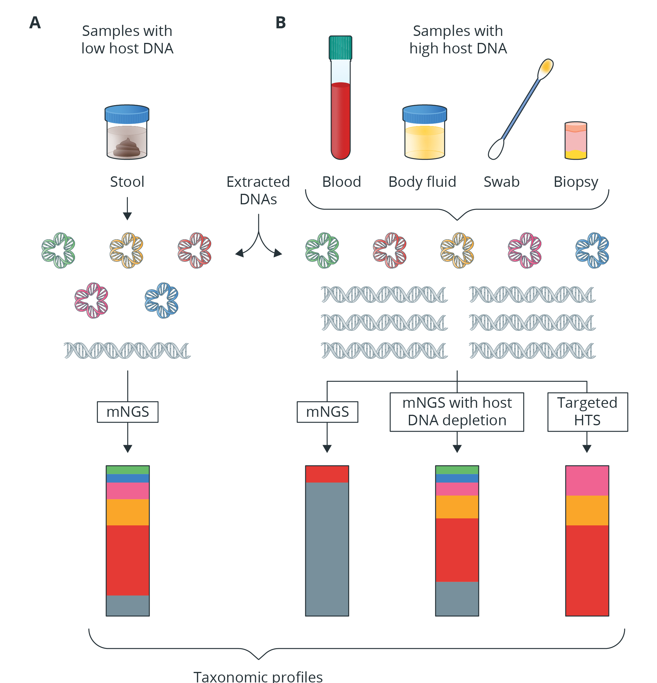 Removal of host DNA before sequencing can improve the resolution of microbial DNA.