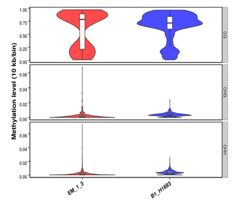Novogene WGBS Methylation Level Distribution on Whole Genome