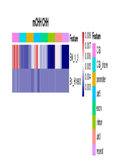 Novogene WGBS Heatmap Analysis for Methylation Levels of Gene Functional Region 
