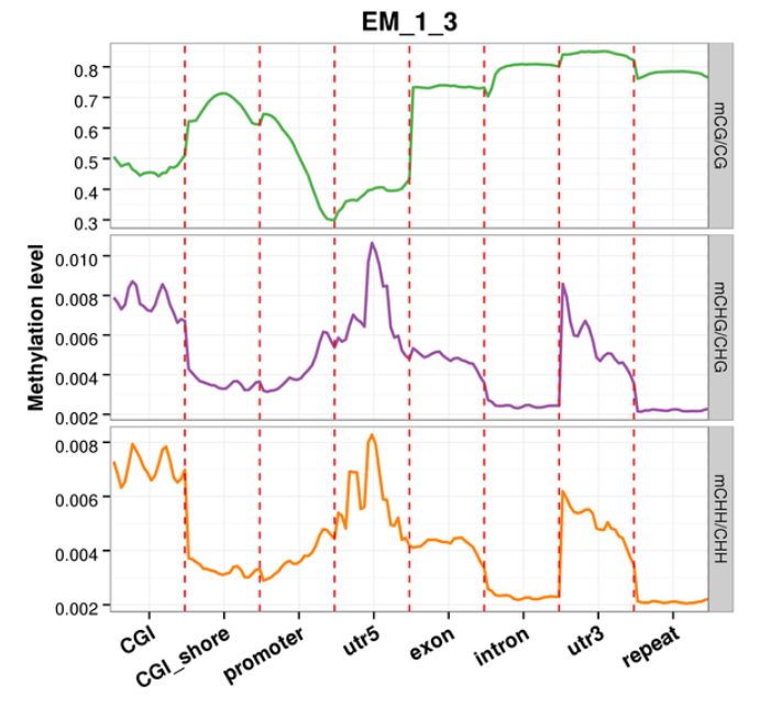 Novogene WGBS Methylation Level Distribution at Functional Genetic Elements