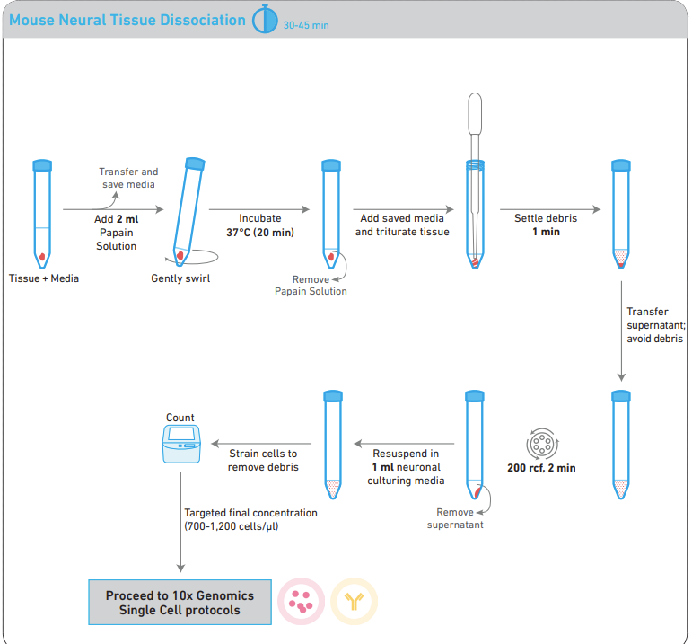 A diagram of a diagram of a tissue dissociationAI-generated content may be incorrect.