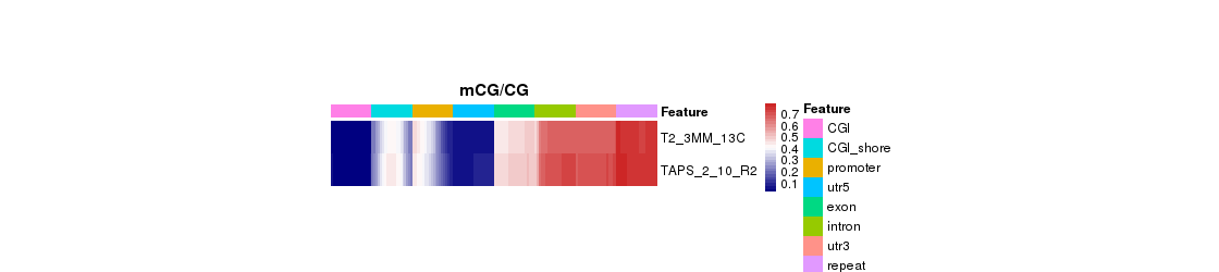 Novogene WGBS Heatmap Analysis for Methylation Levels of Gene Functional Region