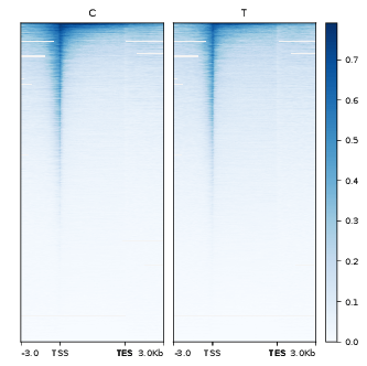 Immagine che contiene testo, schermata, numero, CarattereDescrizione generata automaticamente